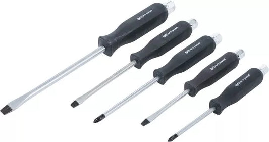 Screwdriver Set 5 pcs.