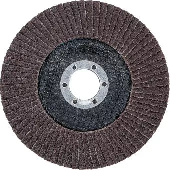 Flap Disc Ø 125 mm K 80
