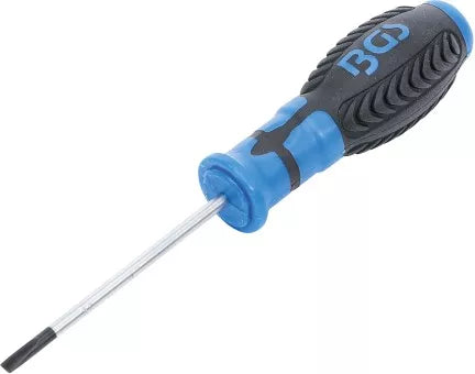 Screwdriver Slot SL 4 mm Blade Length 80 mm