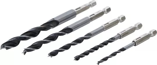 Wood Drill Set 6 - 14 mm 6-point shaft 5 pcs.