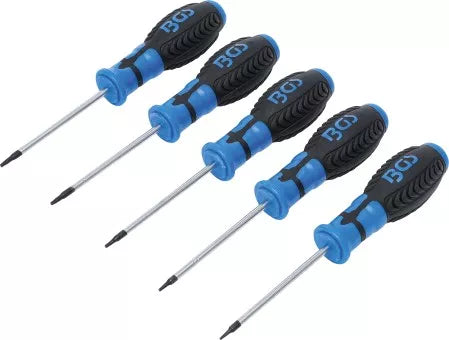 Screwdriver Set T-Star (for Torx) T6 - T10 5 pcs.
