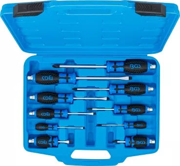 Screwdriver Set 10 pcs.