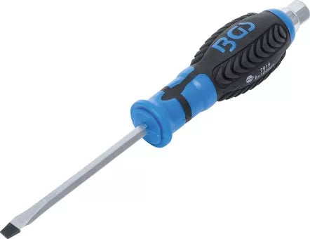 Screwdriver with external Hexagon Slot SL 6 mm Blade Length 100 mm