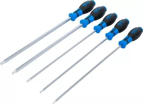 Screwdriver Set Spline (for XZN) 5 pcs.