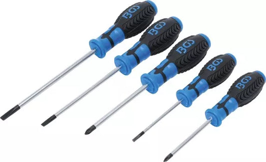 Screwdriver Set 5 pcs.