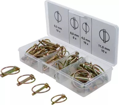 Linchpin Assortment 50 pcs.