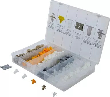 Automotive Clip Assortment for Renault 300 pcs.
