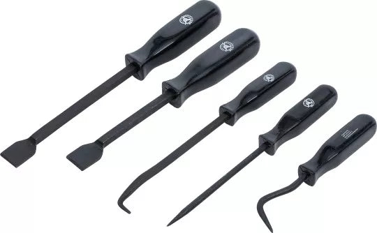 Scraper and Hook Set 5 pcs.