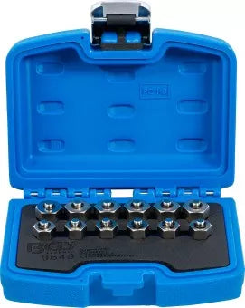 Injector Sealing Plug Set 12 pcs.